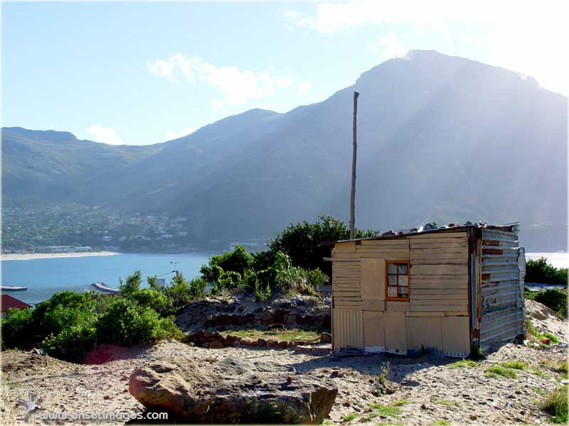 Hout Bay harbour