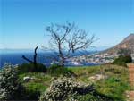 Hout Bay - enlarged image